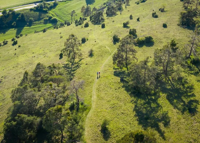 Mini Mal Anders Altmannstein